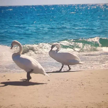 Daire La Maisonnette Di Anna *