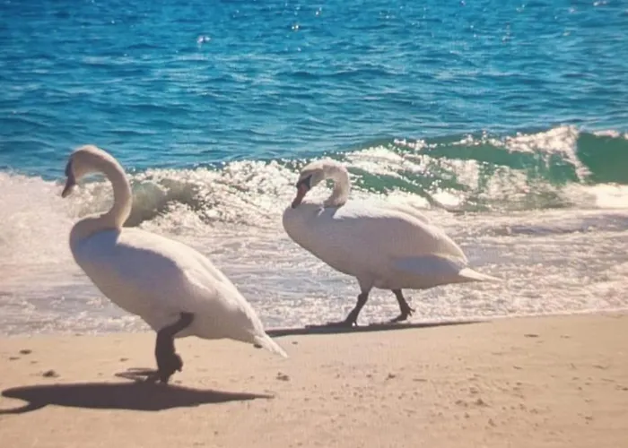 Διαμέρισμα La Maisonnette Di Anna *